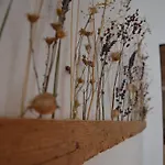 Hotel Boutique Olympia
