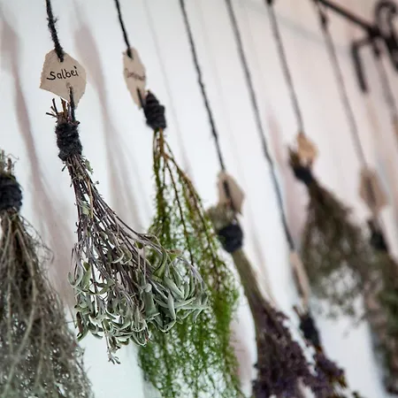 Boutique Olympia Hotel Seefeld in Tirol