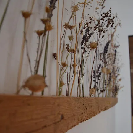 Ξενοδοχείο Boutique Olympia