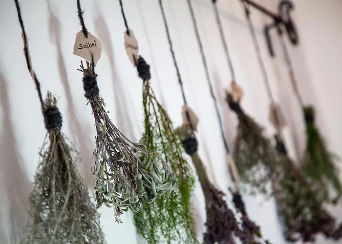 Boutique Olympia Hotell Seefeld in Tirol