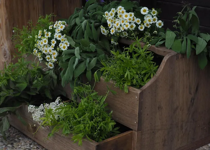 Boutique Olympia Hotell