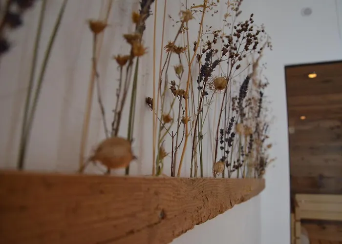 Hotel Boutique Olympia