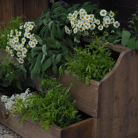 Boutique Olympia Hotel